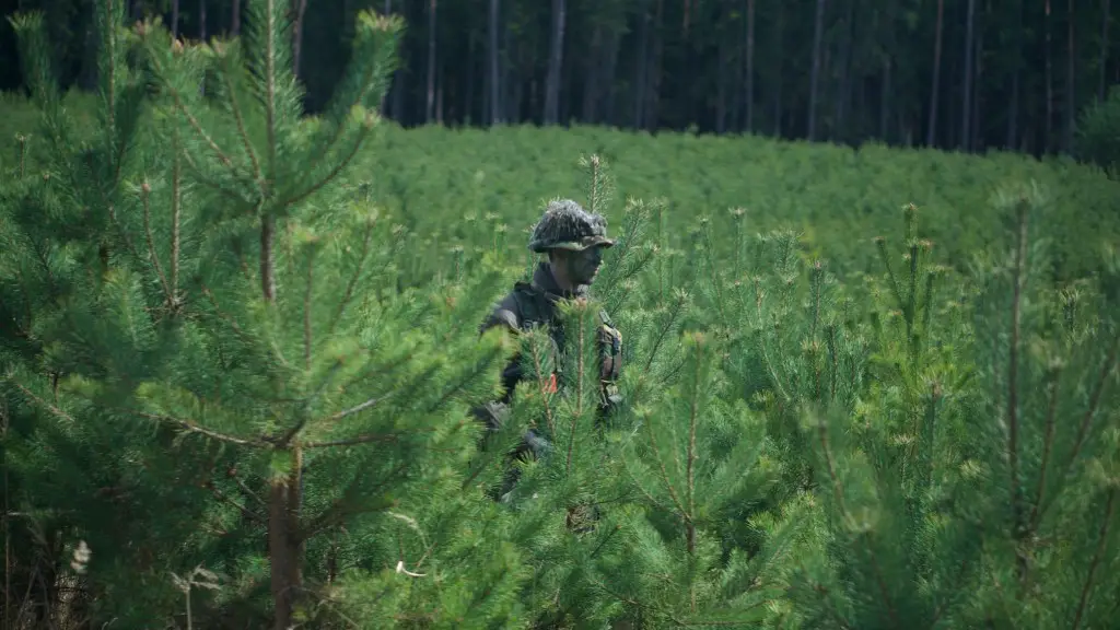 How much russian army?